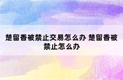 楚留香被禁止交易怎么办 楚留香被禁止怎么办